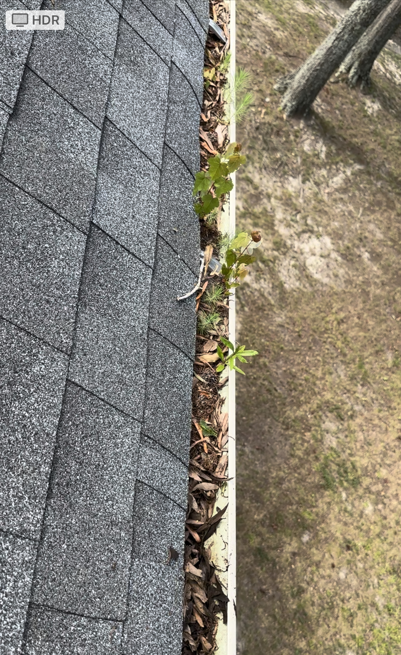 Gleaming Gutters in Richmond Virginia: A Gutter Cleaning Transformation! Thumbnail