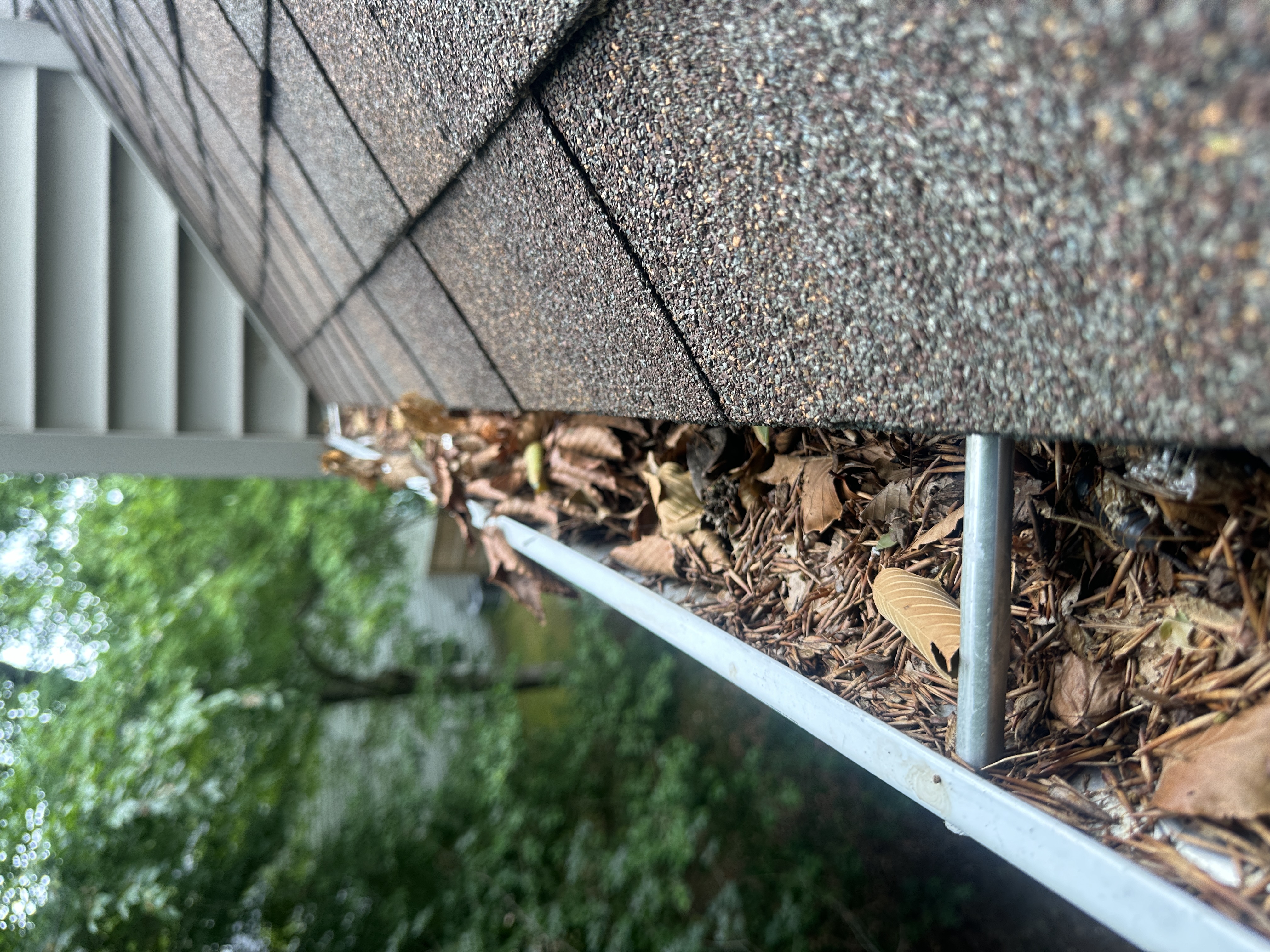 Professional Gutter Cleaning in Williamsburg, Virginia Thumbnail