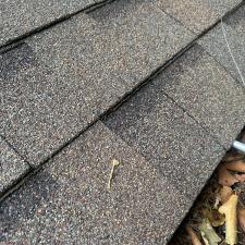 Professional-Gutter-Cleaning-in-Williamsburg-Virginia 1