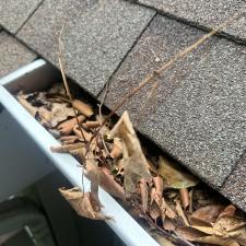 Professional-Gutter-Cleaning-in-Williamsburg-Virginia 2